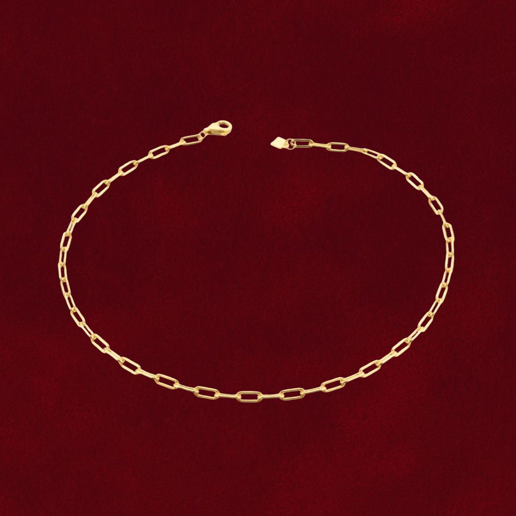 PRE-ORDER: Linky Anklet